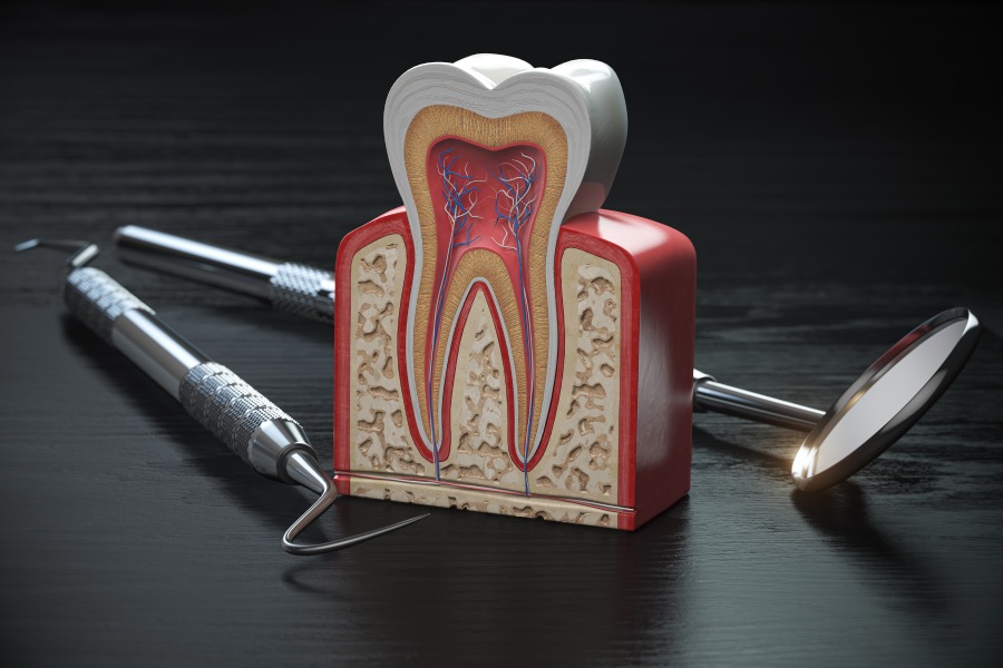 vertikalni 3D model zuba i sotmatološki instrumenti pored